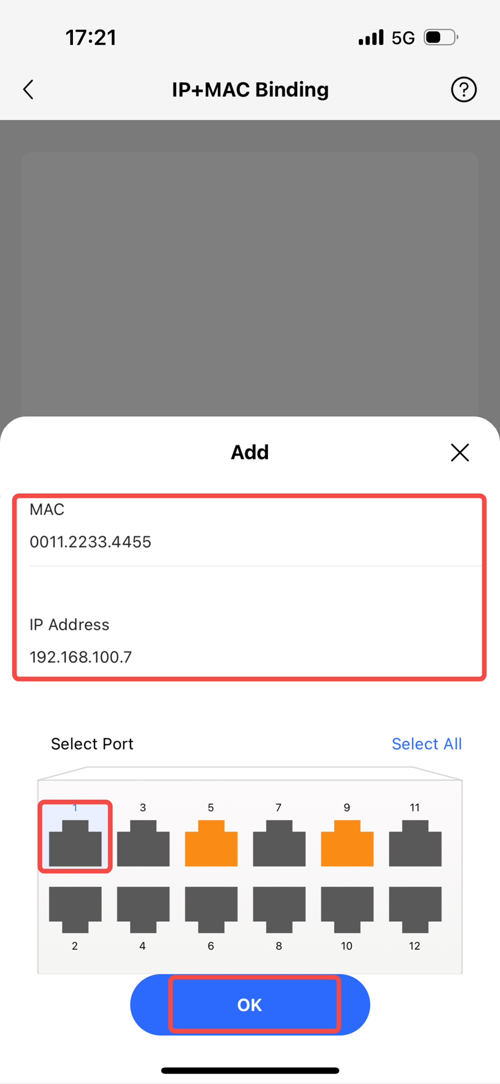 מסך הזנת פרטי הקשירה ולחיצה על OK